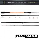 Удилище пикерное Team Salmo ENERGY Picker 40 3.00 (TSEN40-300)