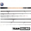 Удилище фидерное Team Salmo ENERGY Feeder 130 3.90 (TSEN130-390)