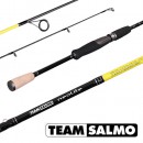 Спиннинг Team Salmo NEOLITE 32 8.70 (TSNE2-872F)