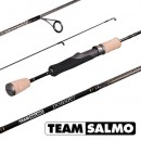 Спиннинг Team Salmo POWDER 6 6.00 (TSPO1-602M)